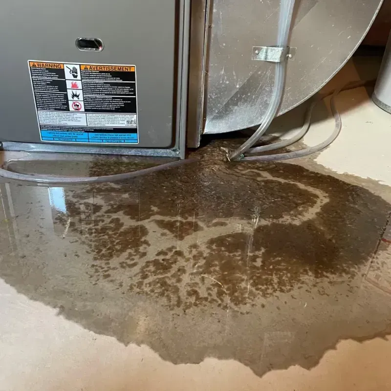 Appliance Leak Cleanup in River Vale, NJ